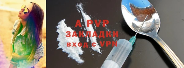 ПСИЛОЦИБИНОВЫЕ ГРИБЫ Осинники
