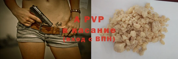 ПСИЛОЦИБИНОВЫЕ ГРИБЫ Осинники