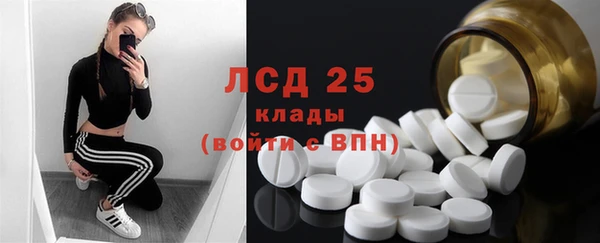 ПСИЛОЦИБИНОВЫЕ ГРИБЫ Осинники