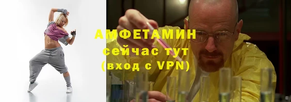 прущие грибы Няндома