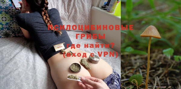 ПСИЛОЦИБИНОВЫЕ ГРИБЫ Осинники
