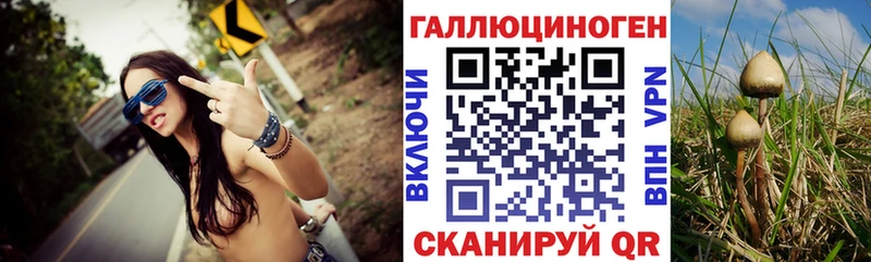 Галлюциногенные грибы ЛСД  купить закладку  Бавлы 